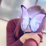 ヒメ日記 2026/04/13 14:18 投稿 しのぶ 池袋人妻城