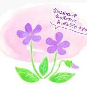 ヒメ日記 2025/04/10 20:21 投稿 すみれchan AZUL本庄