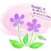 ヒメ日記 2025/04/11 03:21 投稿 すみれchan AZUL本庄