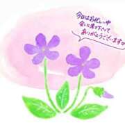 ヒメ日記 2025/04/12 16:21 投稿 すみれchan AZUL本庄