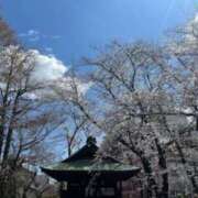 ヒメ日記 2025/04/13 20:26 投稿 佐伯 梓(さえきあずさ) 五十路マダムエクスプレス厚木店(カサブランカグループ)