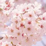 ヒメ日記 2025/04/14 02:58 投稿 佐伯 梓(さえきあずさ) 五十路マダムエクスプレス厚木店(カサブランカグループ)