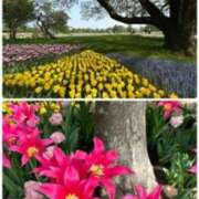 ヒメ日記 2025/04/19 19:00 投稿 佐伯 梓(さえきあずさ) 五十路マダムエクスプレス厚木店(カサブランカグループ)