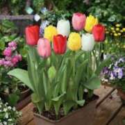 ヒメ日記 2025/04/26 16:38 投稿 佐伯 梓(さえきあずさ) 五十路マダムエクスプレス厚木店(カサブランカグループ)