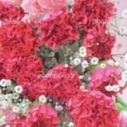 ヒメ日記 2025/04/28 19:00 投稿 佐伯 梓(さえきあずさ) 五十路マダムエクスプレス厚木店(カサブランカグループ)