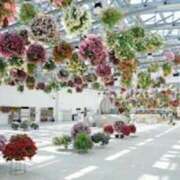 ヒメ日記 2025/05/04 08:28 投稿 佐伯 梓(さえきあずさ) 五十路マダムエクスプレス厚木店(カサブランカグループ)