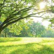 ヒメ日記 2025/05/04 08:38 投稿 佐伯 梓(さえきあずさ) 五十路マダムエクスプレス厚木店(カサブランカグループ)