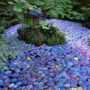 ヒメ日記 2025/05/22 08:48 投稿 佐伯 梓(さえきあずさ) 五十路マダムエクスプレス厚木店(カサブランカグループ)