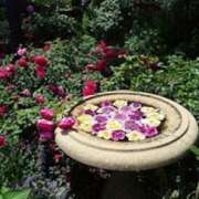 ヒメ日記 2025/05/23 14:50 投稿 佐伯 梓(さえきあずさ) 五十路マダムエクスプレス厚木店(カサブランカグループ)