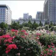 ヒメ日記 2025/05/23 16:46 投稿 佐伯 梓(さえきあずさ) 五十路マダムエクスプレス厚木店(カサブランカグループ)