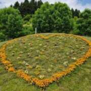 ヒメ日記 2025/06/04 06:50 投稿 佐伯 梓(さえきあずさ) 五十路マダムエクスプレス厚木店(カサブランカグループ)