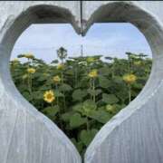 ヒメ日記 2025/06/05 23:16 投稿 佐伯 梓(さえきあずさ) 五十路マダムエクスプレス厚木店(カサブランカグループ)