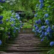 ヒメ日記 2025/06/13 18:58 投稿 佐伯 梓(さえきあずさ) 五十路マダムエクスプレス厚木店(カサブランカグループ)