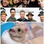 ヒメ日記 2025/06/19 12:08 投稿 佐伯 梓(さえきあずさ) 五十路マダムエクスプレス厚木店(カサブランカグループ)