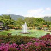 ヒメ日記 2025/06/21 09:34 投稿 佐伯 梓(さえきあずさ) 五十路マダムエクスプレス厚木店(カサブランカグループ)