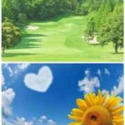 ヒメ日記 2025/07/05 13:18 投稿 佐伯 梓(さえきあずさ) 五十路マダムエクスプレス厚木店(カサブランカグループ)