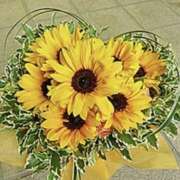 ヒメ日記 2025/07/05 13:48 投稿 佐伯 梓(さえきあずさ) 五十路マダムエクスプレス厚木店(カサブランカグループ)