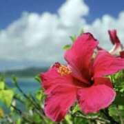 ヒメ日記 2025/07/25 00:04 投稿 佐伯 梓(さえきあずさ) 五十路マダムエクスプレス厚木店(カサブランカグループ)