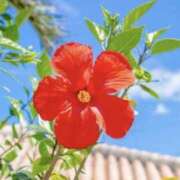 ヒメ日記 2025/07/29 07:42 投稿 佐伯 梓(さえきあずさ) 五十路マダムエクスプレス厚木店(カサブランカグループ)