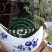 ヒメ日記 2025/08/08 07:34 投稿 佐伯 梓(さえきあずさ) 五十路マダムエクスプレス厚木店(カサブランカグループ)