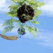 ヒメ日記 2025/09/02 12:52 投稿 佐伯 梓(さえきあずさ) 五十路マダムエクスプレス厚木店(カサブランカグループ)