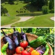 ヒメ日記 2025/09/08 12:50 投稿 佐伯 梓(さえきあずさ) 五十路マダムエクスプレス厚木店(カサブランカグループ)