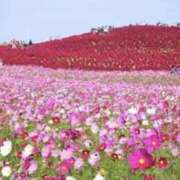 ヒメ日記 2025/09/14 18:12 投稿 佐伯 梓(さえきあずさ) 五十路マダムエクスプレス厚木店(カサブランカグループ)