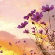 ヒメ日記 2025/09/14 20:54 投稿 佐伯 梓(さえきあずさ) 五十路マダムエクスプレス厚木店(カサブランカグループ)