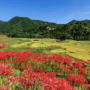 ヒメ日記 2025/09/22 07:40 投稿 佐伯 梓(さえきあずさ) 五十路マダムエクスプレス厚木店(カサブランカグループ)