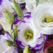 ヒメ日記 2025/09/28 19:36 投稿 佐伯 梓(さえきあずさ) 五十路マダムエクスプレス厚木店(カサブランカグループ)