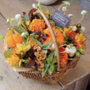 ヒメ日記 2025/10/22 07:02 投稿 佐伯 梓(さえきあずさ) 五十路マダムエクスプレス厚木店(カサブランカグループ)