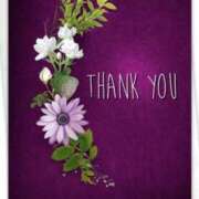 ヒメ日記 2025/11/29 16:16 投稿 佐伯 梓(さえきあずさ) 五十路マダムエクスプレス厚木店(カサブランカグループ)