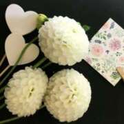 ヒメ日記 2025/11/30 15:00 投稿 佐伯 梓(さえきあずさ) 五十路マダムエクスプレス厚木店(カサブランカグループ)