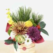 ヒメ日記 2025/12/30 08:46 投稿 佐伯 梓(さえきあずさ) 五十路マダムエクスプレス厚木店(カサブランカグループ)