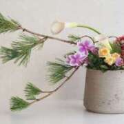 ヒメ日記 2026/01/18 21:16 投稿 佐伯 梓(さえきあずさ) 五十路マダムエクスプレス厚木店(カサブランカグループ)