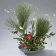 ヒメ日記 2026/01/26 06:30 投稿 佐伯 梓(さえきあずさ) 五十路マダムエクスプレス厚木店(カサブランカグループ)