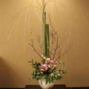 ヒメ日記 2026/01/31 13:44 投稿 佐伯 梓(さえきあずさ) 五十路マダムエクスプレス厚木店(カサブランカグループ)