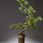 ヒメ日記 2026/02/03 13:30 投稿 佐伯 梓(さえきあずさ) 五十路マダムエクスプレス厚木店(カサブランカグループ)