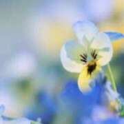 ヒメ日記 2026/02/05 00:16 投稿 佐伯 梓(さえきあずさ) 五十路マダムエクスプレス厚木店(カサブランカグループ)