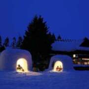 ヒメ日記 2026/02/08 14:24 投稿 佐伯 梓(さえきあずさ) 五十路マダムエクスプレス厚木店(カサブランカグループ)