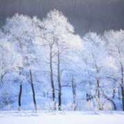 ヒメ日記 2026/02/08 18:12 投稿 佐伯 梓(さえきあずさ) 五十路マダムエクスプレス厚木店(カサブランカグループ)