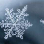 ヒメ日記 2026/02/08 20:44 投稿 佐伯 梓(さえきあずさ) 五十路マダムエクスプレス厚木店(カサブランカグループ)