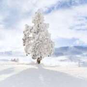 ヒメ日記 2026/02/08 22:00 投稿 佐伯 梓(さえきあずさ) 五十路マダムエクスプレス厚木店(カサブランカグループ)