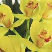 ヒメ日記 2026/02/10 23:20 投稿 佐伯 梓(さえきあずさ) 五十路マダムエクスプレス厚木店(カサブランカグループ)