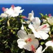 ヒメ日記 2026/02/12 02:12 投稿 佐伯 梓(さえきあずさ) 五十路マダムエクスプレス厚木店(カサブランカグループ)