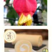 ヒメ日記 2026/02/14 07:30 投稿 佐伯 梓(さえきあずさ) 五十路マダムエクスプレス厚木店(カサブランカグループ)