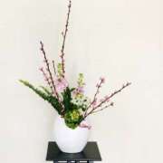 ヒメ日記 2026/02/25 08:40 投稿 佐伯 梓(さえきあずさ) 五十路マダムエクスプレス厚木店(カサブランカグループ)