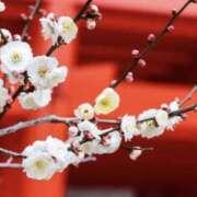 ヒメ日記 2026/02/25 23:54 投稿 佐伯 梓(さえきあずさ) 五十路マダムエクスプレス厚木店(カサブランカグループ)