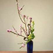 ヒメ日記 2026/02/27 19:20 投稿 佐伯 梓(さえきあずさ) 五十路マダムエクスプレス厚木店(カサブランカグループ)