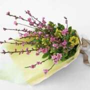 ヒメ日記 2026/02/27 19:38 投稿 佐伯 梓(さえきあずさ) 五十路マダムエクスプレス厚木店(カサブランカグループ)